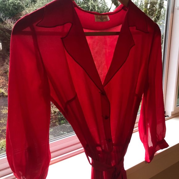 Leona Edmiston Sheer Raspberry Red Frock - Picture 9 of 11